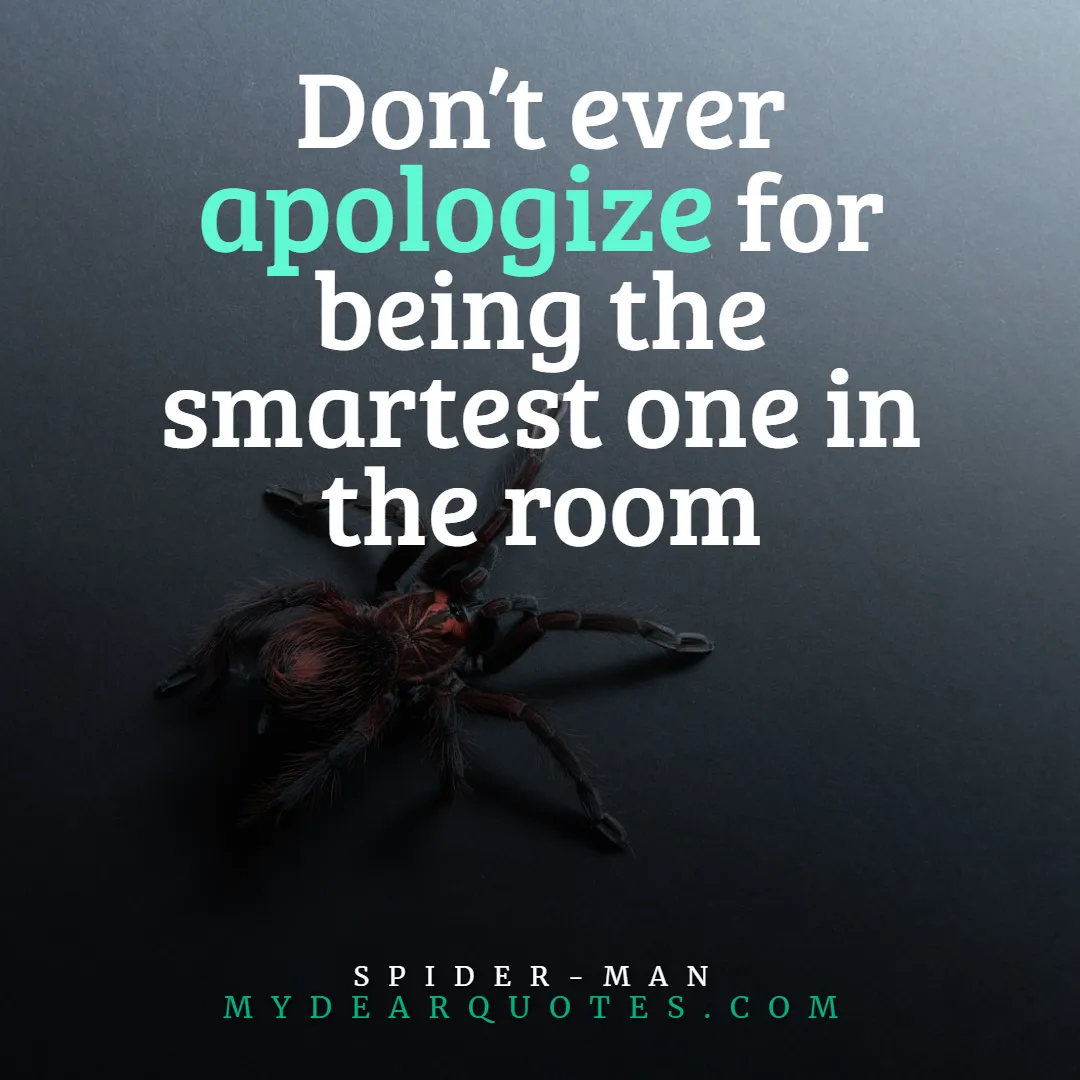 spider quotes