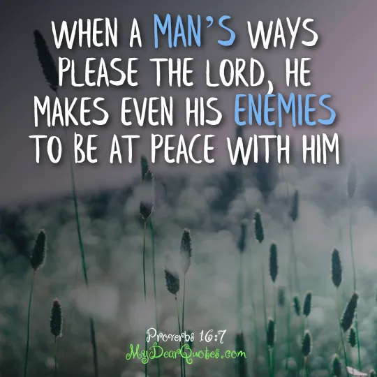 bible verses about peace and comfort