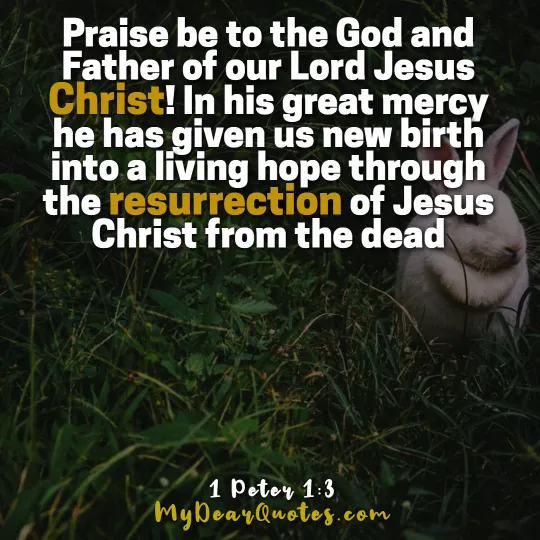 1 Peter 1:3 lines