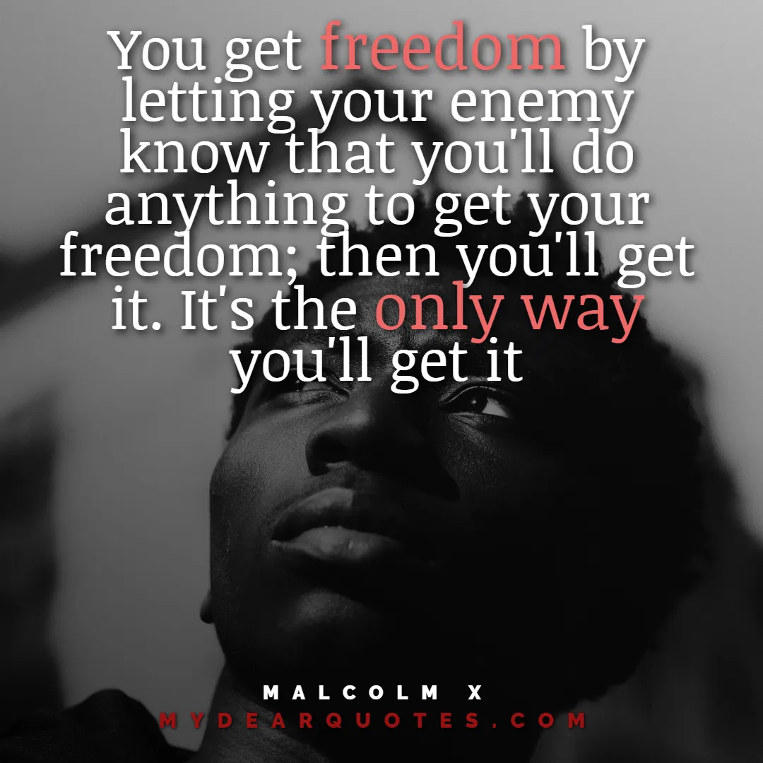 Malcolm Freedom Quotes