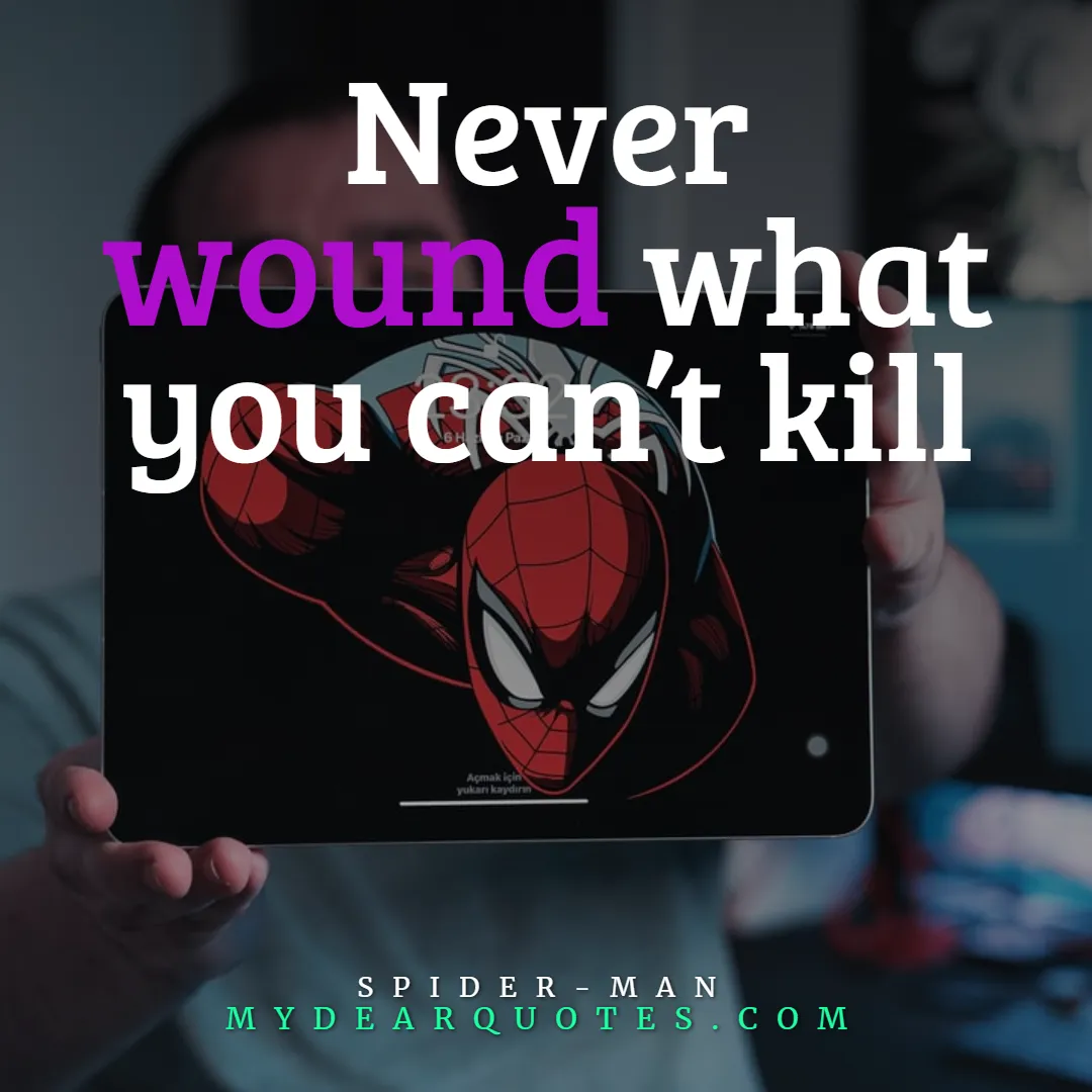 spider man phrases