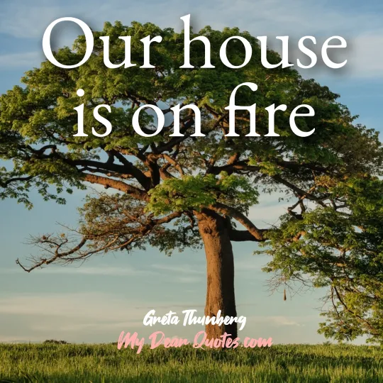 house on fire quote