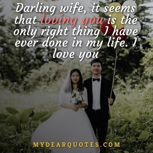 husband love your wife quotes