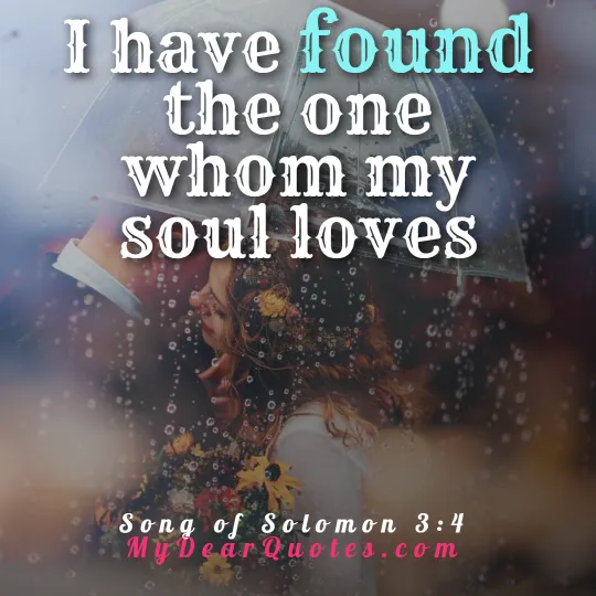 Song of Solomon 3:4 verse