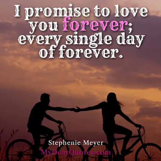 Stephenie Meyer phrases