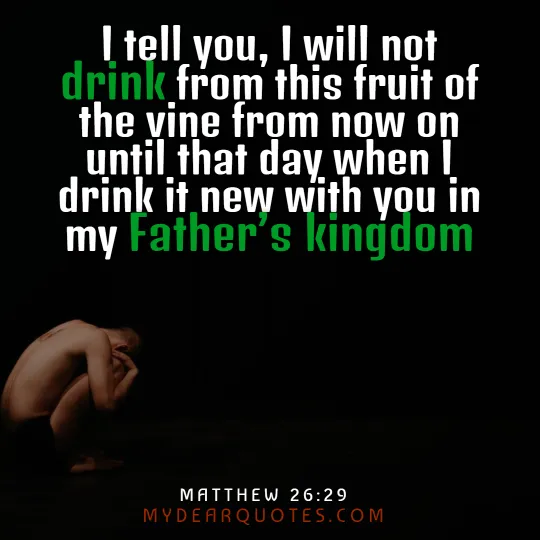 Matthew 26:29 verse