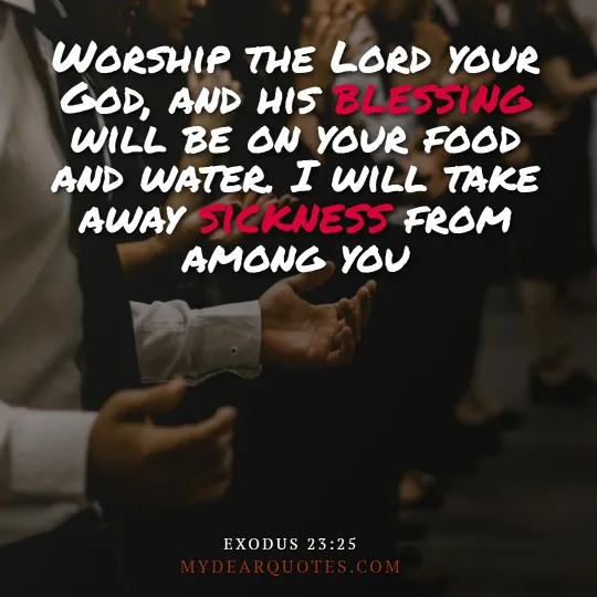 Exodus 23:25 verse