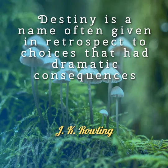 J.K. Rowling 