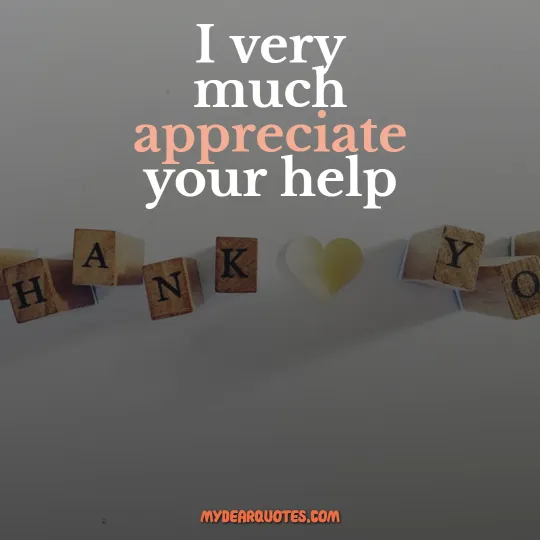 thank you words of appreciation professional