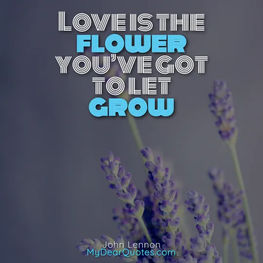 flower motivational quotes