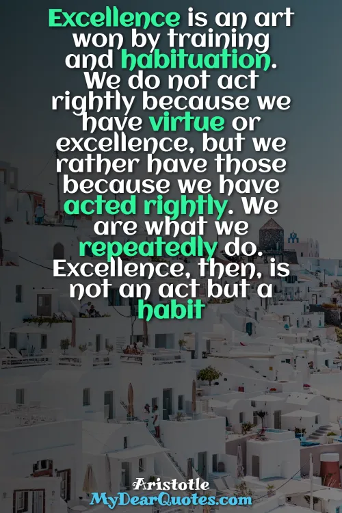 aristotle excellence is never an accident