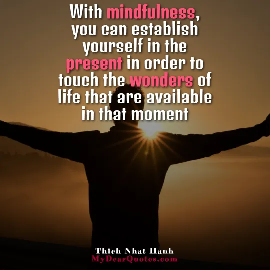 thich nhat hanh mindfulness quotes