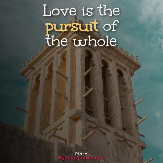 Love is the pursuit of the whole by plato