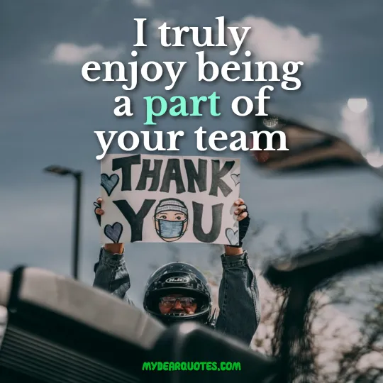 appreciation quotes for employees