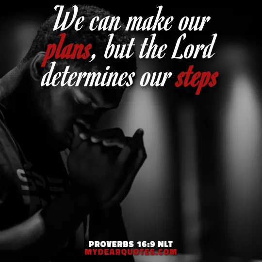 Proverbs 16:9 NLT verse