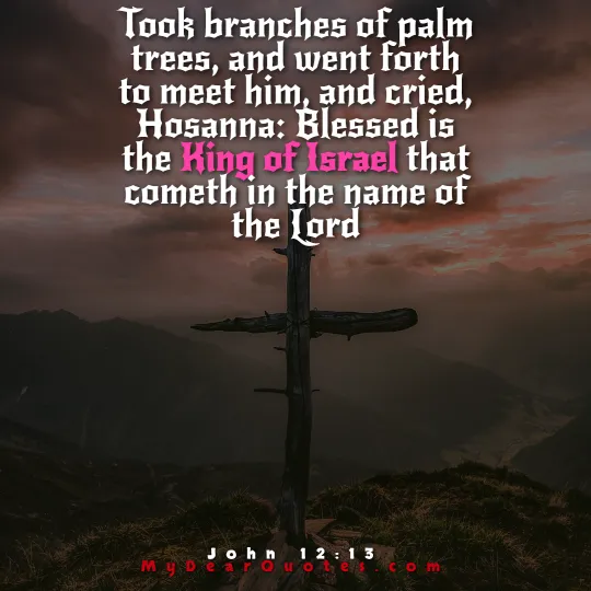 palm sunday scripture hosanna