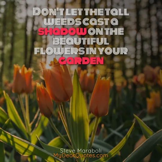 quotes about flowers and growth