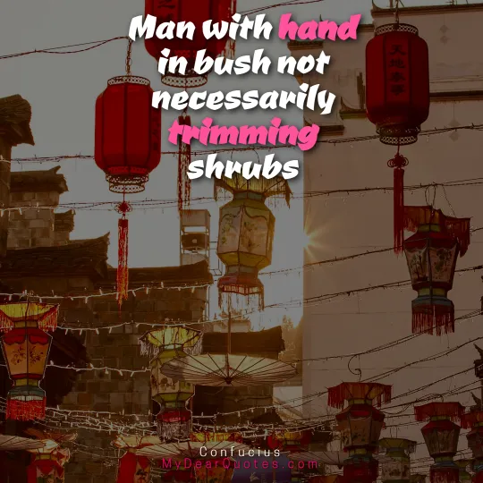funny confucius sayings