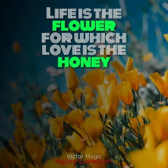 quotes on flowers and life