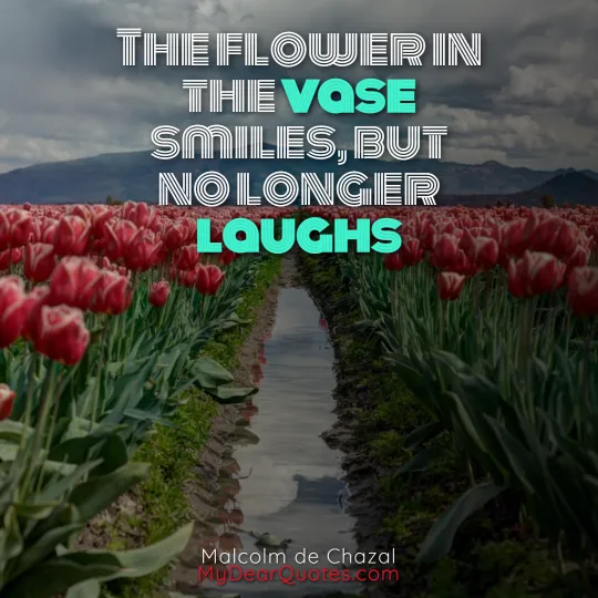 flowers blooming quotes