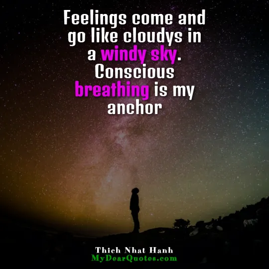 mindfulness quotes thich nhat hanh
