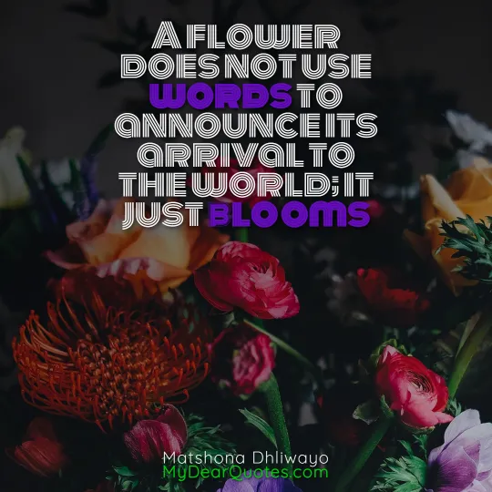 love bloom quotes
