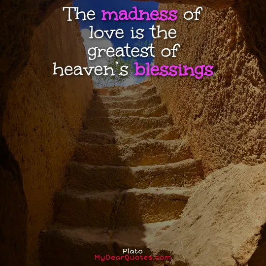 The madness of love quote