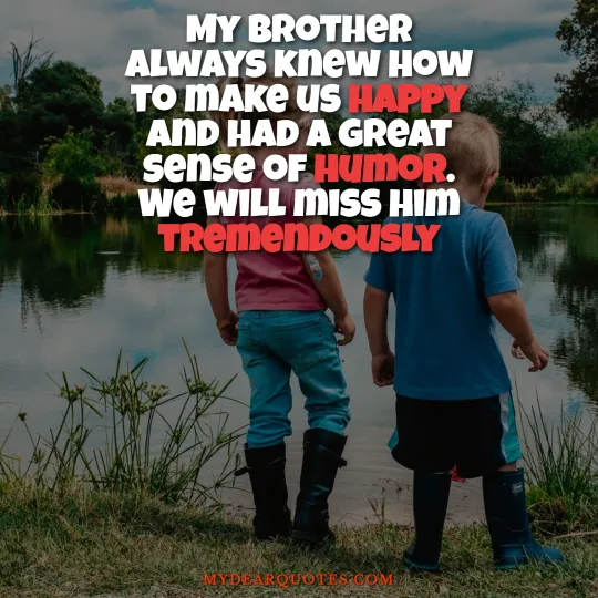 sister losing a brother quotes