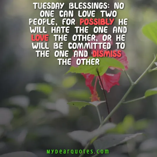 happy blessed tuesday quotes