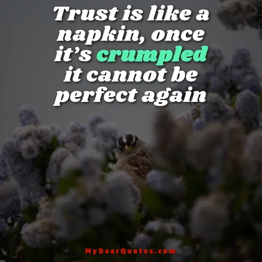 Trust is like a napkin, once it’s crumpled it cannot be perfect again