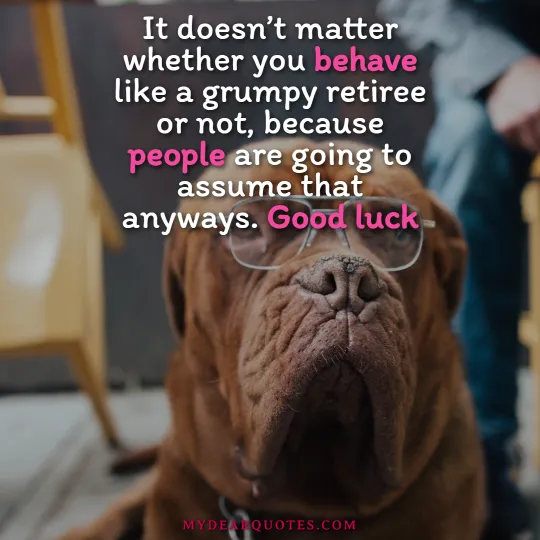 grumpy retiree quotes