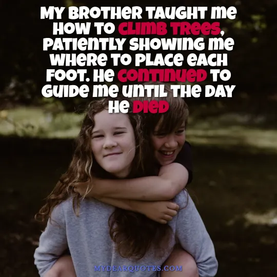 sad loss of sibling quote