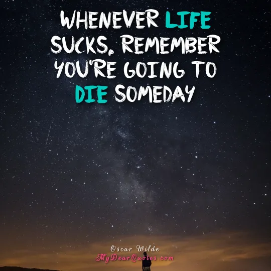 Whenever life sucks, remember you're going to die someday  |  Oscar Wilde