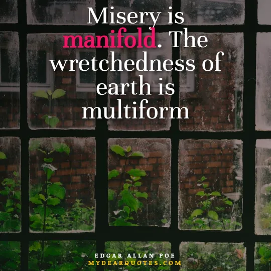 wise sayings about misery