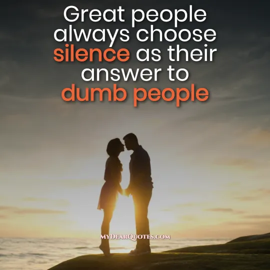 Great people always choose silence as their answer to dumb people