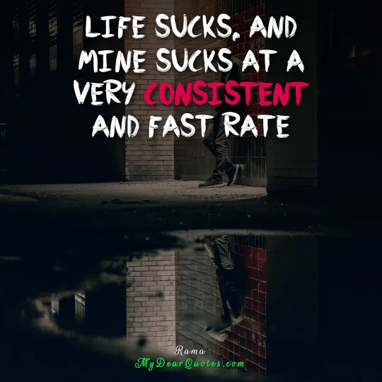 life sucks funny quotes