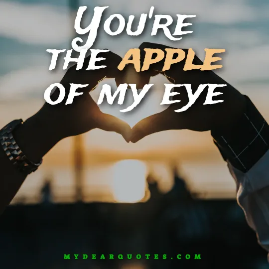 You're the apple of my eye quote