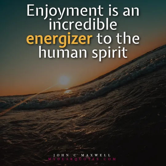 John C Maxwell enjoyment quote