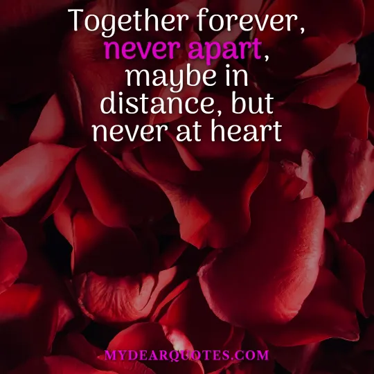 you and me forever quotes