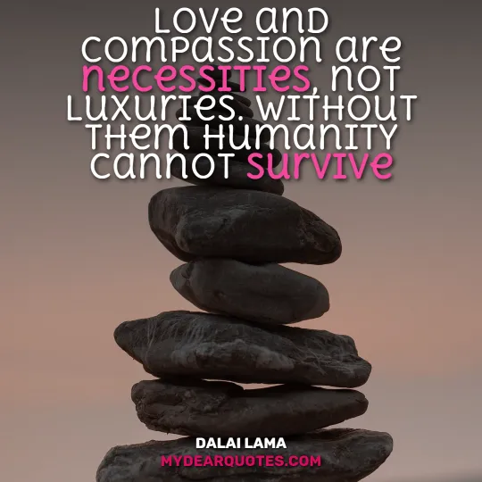 Dalai Lama quote about compassion