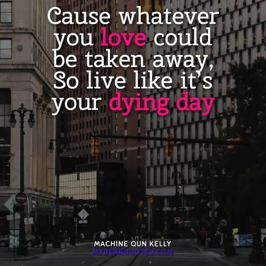 Cause whatever you love could be taken away, So live like it’s your dying day