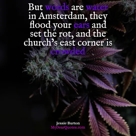amsterdam quotes for instagram