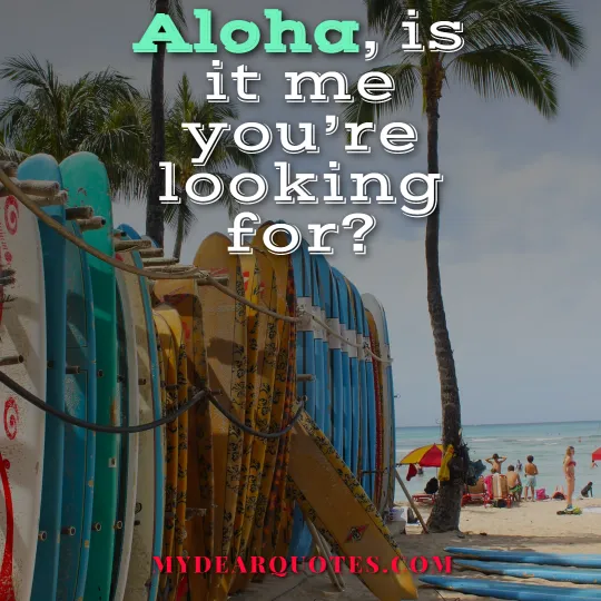 funny Aloha saying