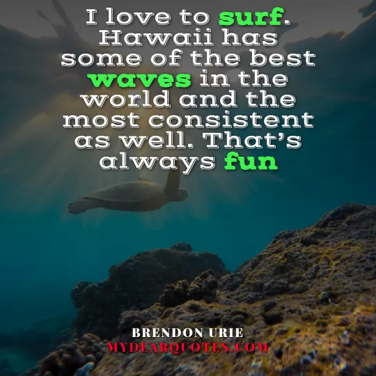 Brendon Urie surf quote