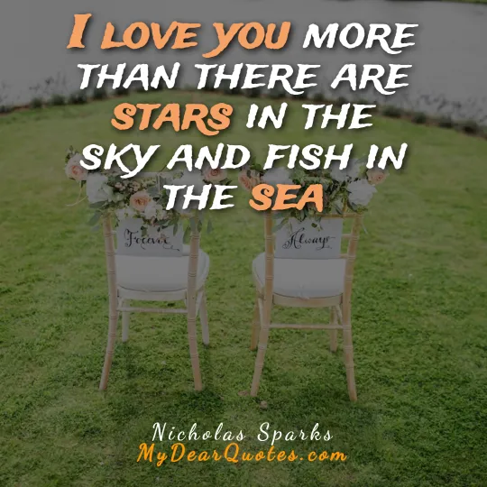 I love you more than there are stars in the sky and fish in the sea  |  Nicholas Sparks