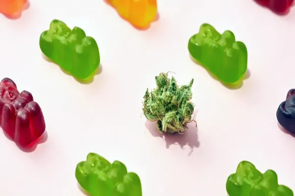 Exploring the Top THC Gummies for Ultimate Relaxation and Stress Relief