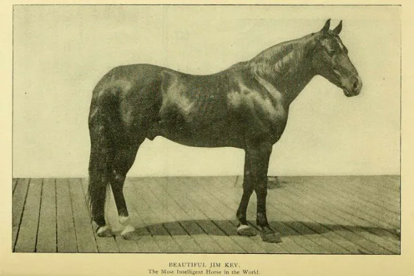 The Most Famous Horses Throughout History