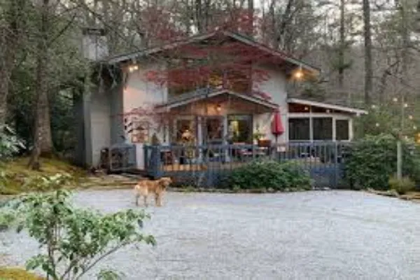 Pet-Friendly Vacation Homes In NC: Bringing Your Furry Friend Along For The Adventure