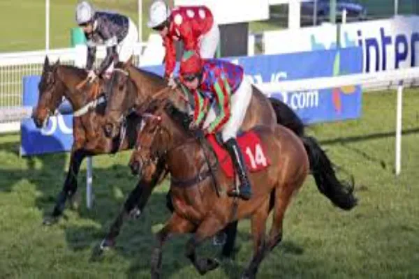 Monetization Strategies in Horse Race Betting: What Works and What Doesn’t