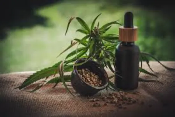 Tips on Choosing Quality Hemp Buds